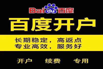 某公司通过竞价SEM优化搜索引擎排名案例